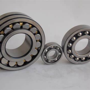 Bearing ZT710